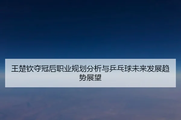 wang-chu-qin-duo-guan-hou-zhi-ye-gui-hua-fen-xi-yu-ping-pang-qiu-wei-lai-fa-zhan-qu-shi-zhan-wang-2-447.jpg